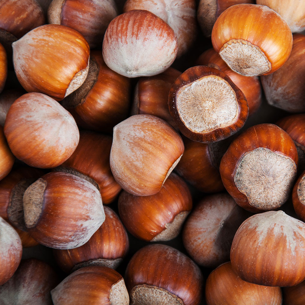 Hazelnut